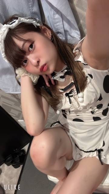 可愛い動物さんたち