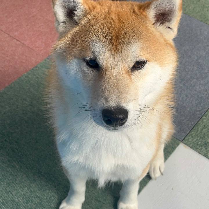 嫌なのかな💦