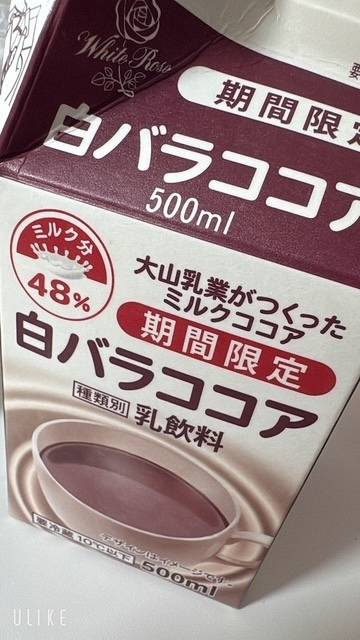 米子の温泉はしょっぱいらしい