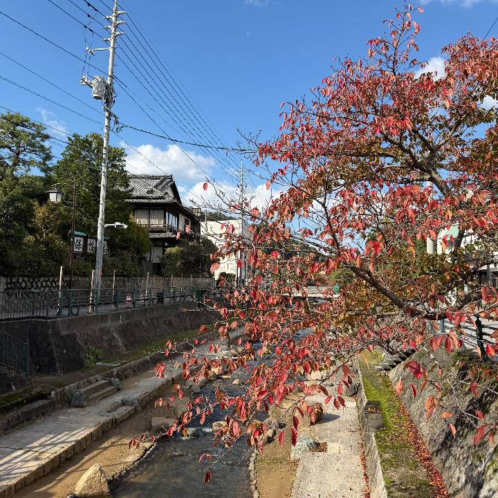 ここはどこでしょ