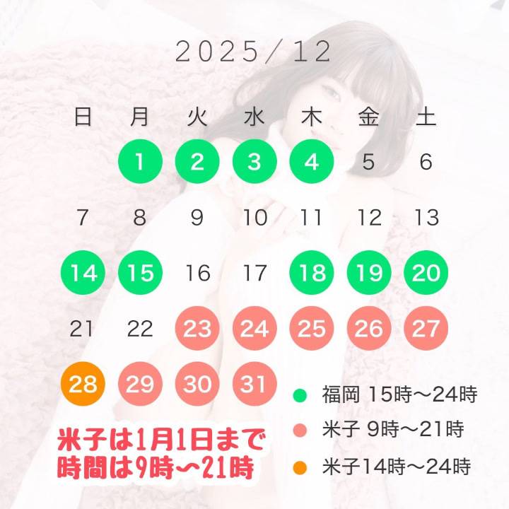 🧩🌸12月出勤予定🌸