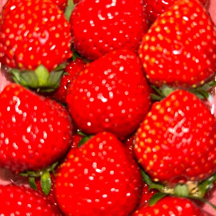 🍓🍓🍓すばる