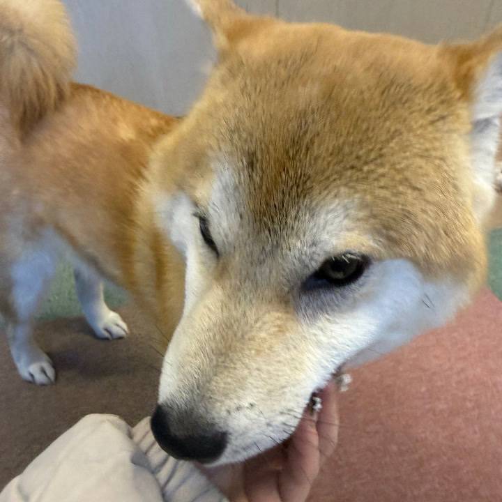 🈳本日残り1枠✨