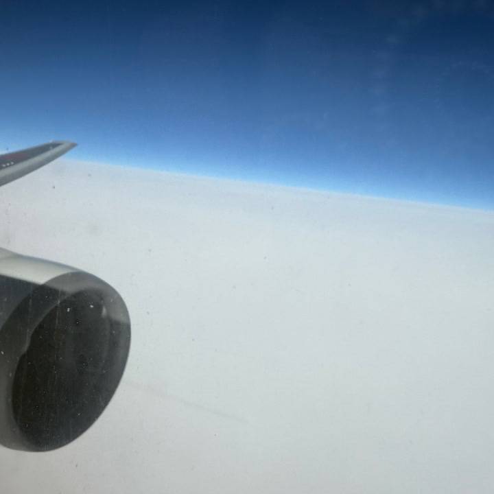 キャンセル出ました