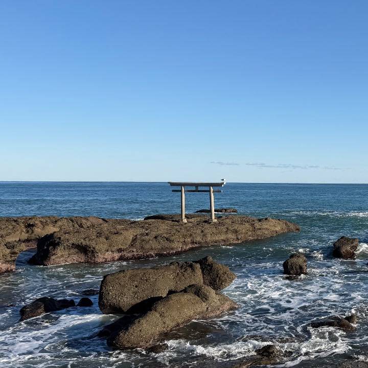 あたらしいとし