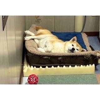 💫ありがとう💫