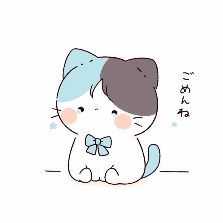 ごめんなさい🙏