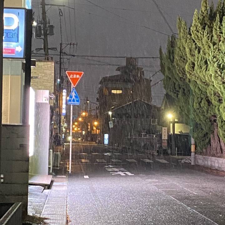 キラキラ･:*+.\(( °ω° ))/.:+