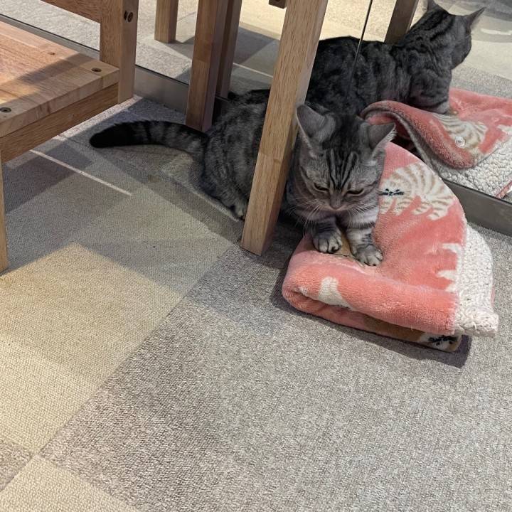 名前呼んでｯｯ‼️