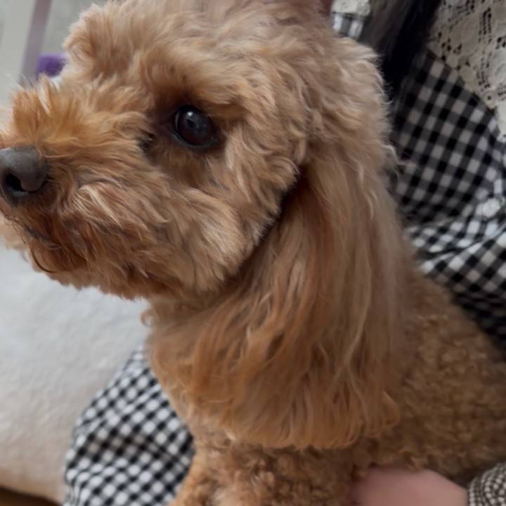 体調回復したので、本日出勤！