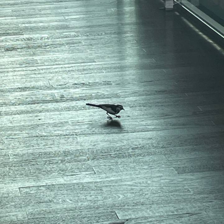 いつものハマる生活(*´ω｀*)