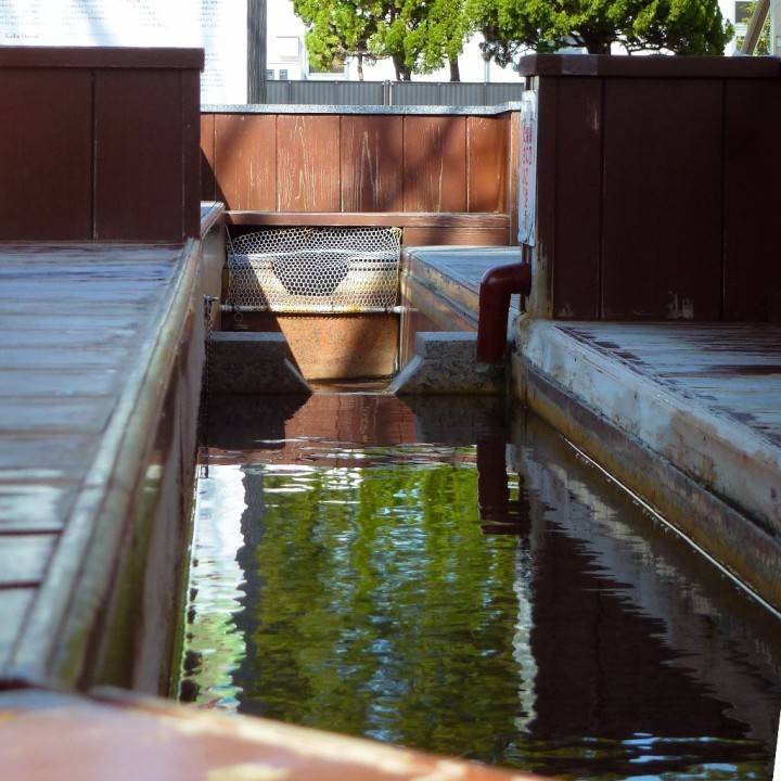 天気よすぎてお散歩してきた📷