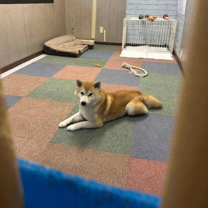 有難う御座いました🫶🏻