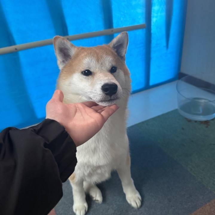 すみませんでした！！！(土下座)
