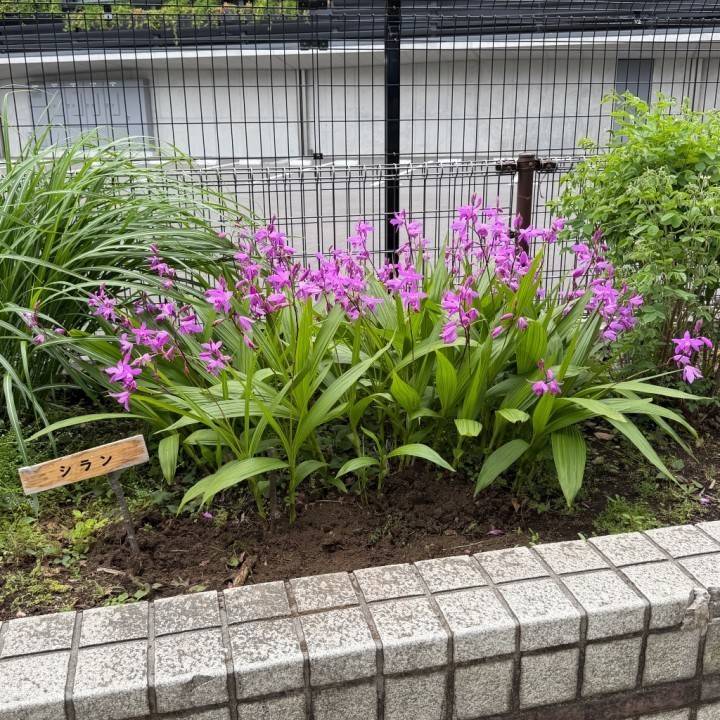 見つけました‼️