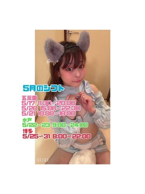 博多といえばを持って行く6️⃣