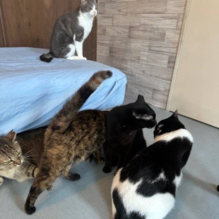 1週間有難う💖次は6/12〜から🐿️