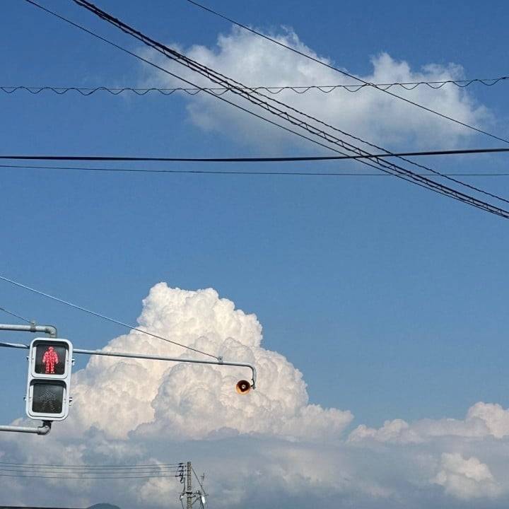 🐿️☁️🫧