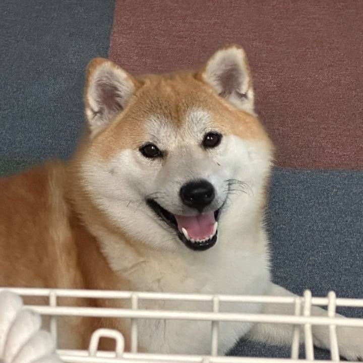 部長🐿️🫧
