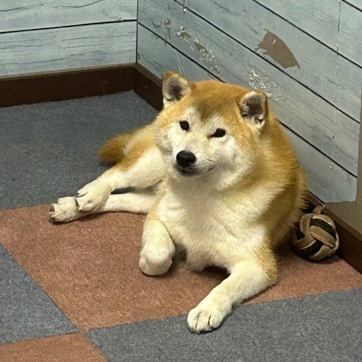 gm！！