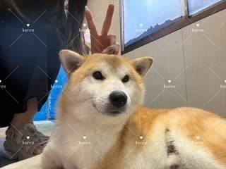 私のルーティン✨