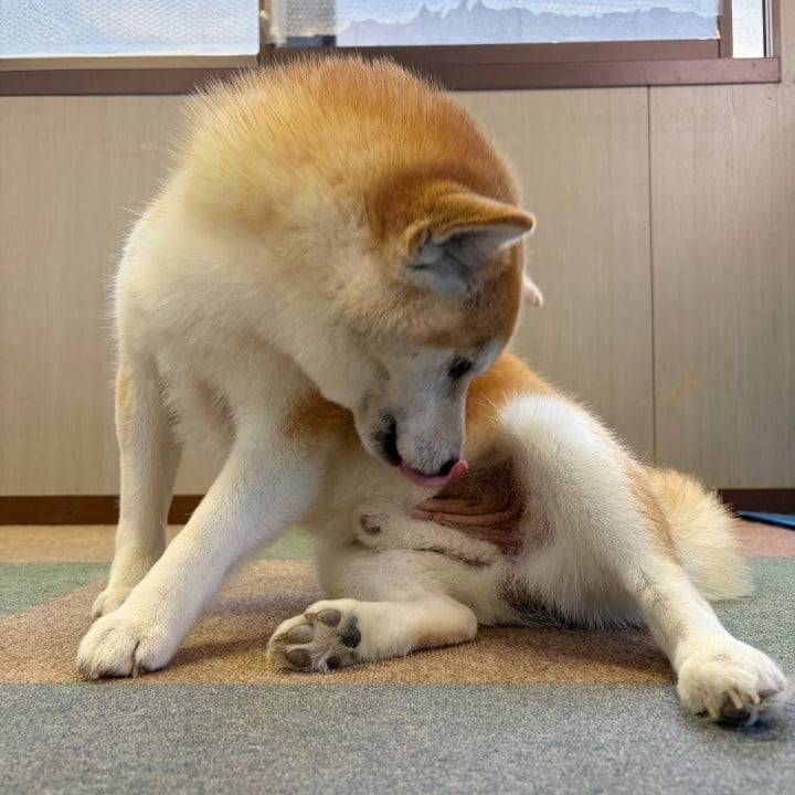 3日目💘