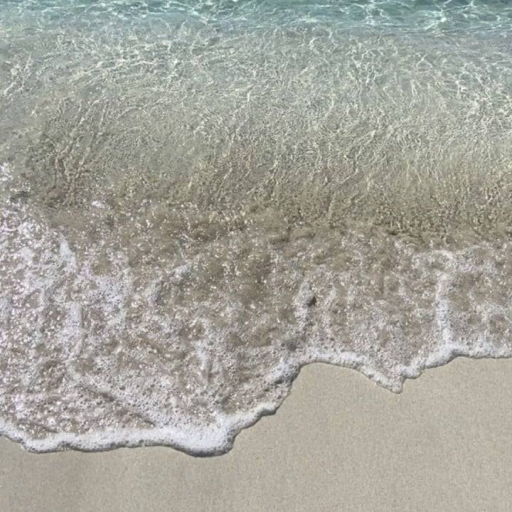 海の季節だね🌊