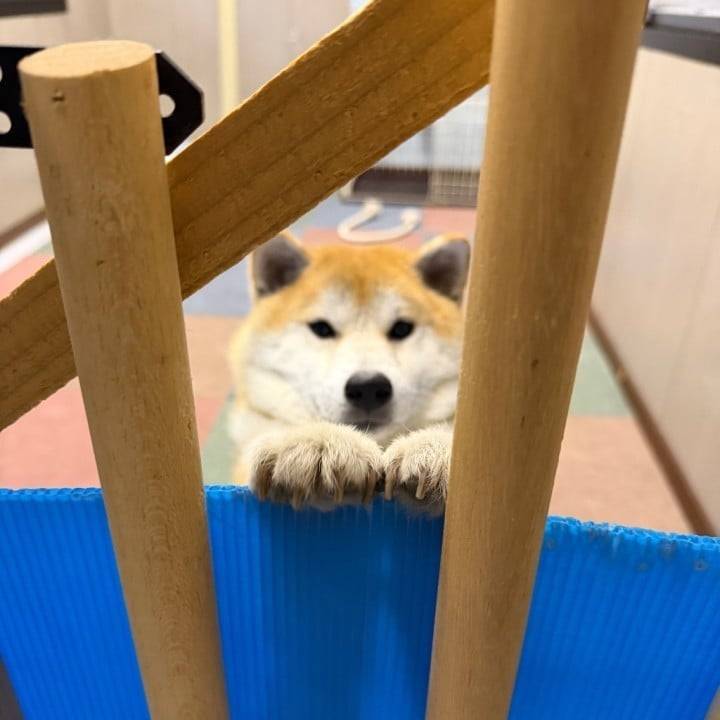 おはよう🐿️💕