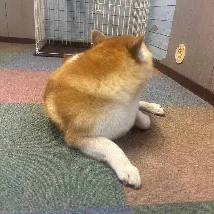 おはよ！！