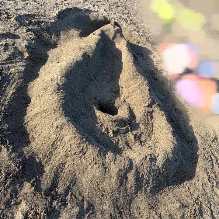 発見🏖️🐿️