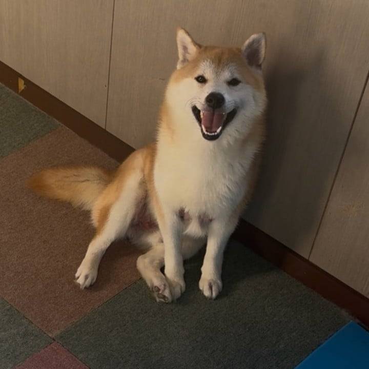 ｼﾐｼﾞﾐ🐚ｼｼﾞﾐ