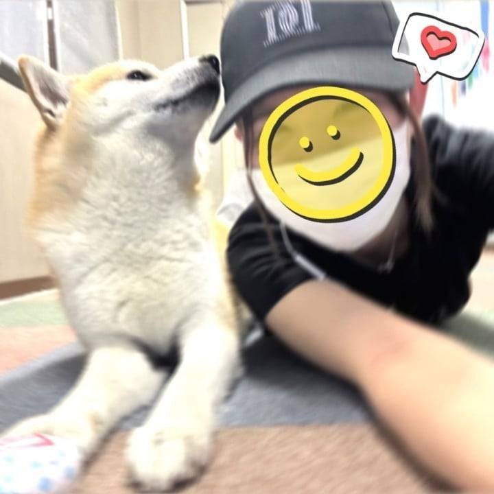 🐶