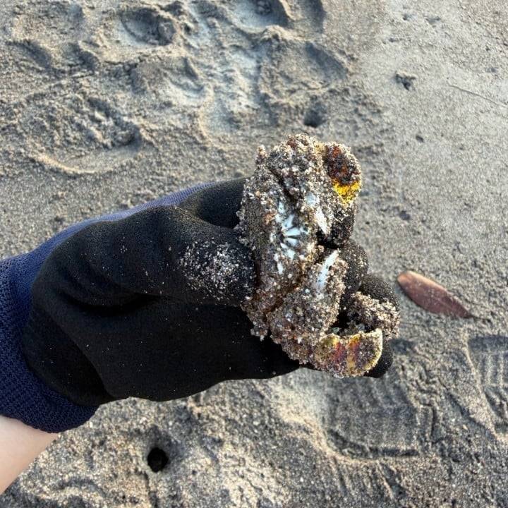 おなかへった🐿️