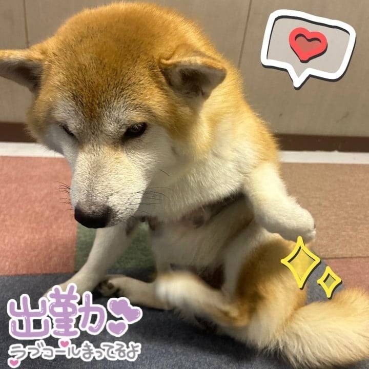 出遅れました😖