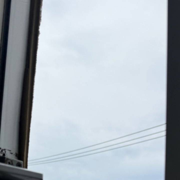 生き返った〜🐿️💕