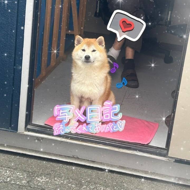 米子1️⃣〜完〜💨