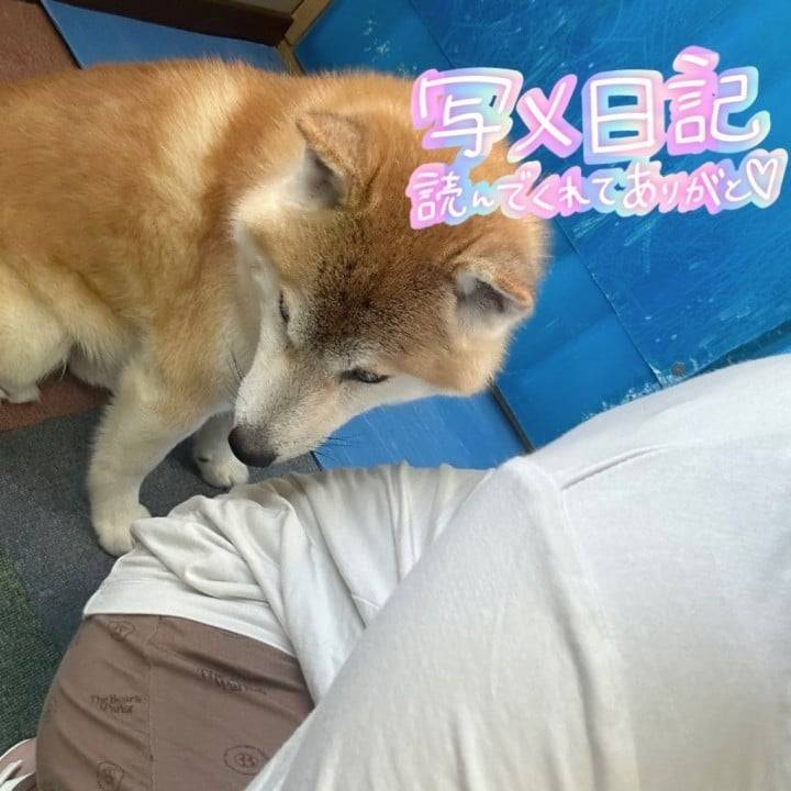おそよう🥺