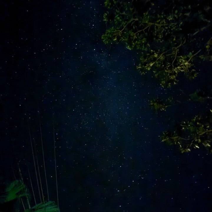 お礼日記💌🐿️