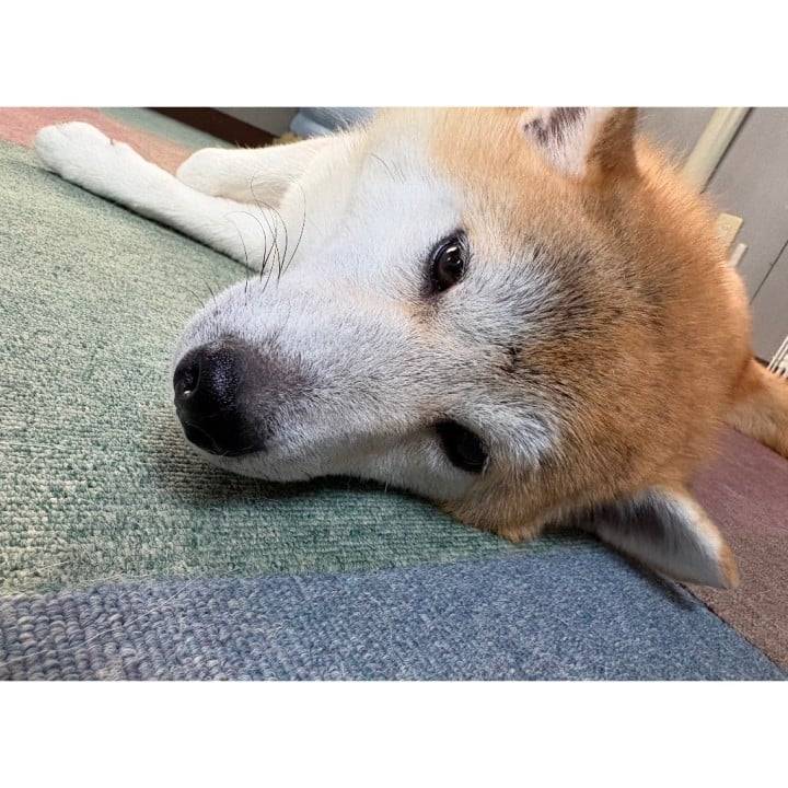 出勤したよん🩵