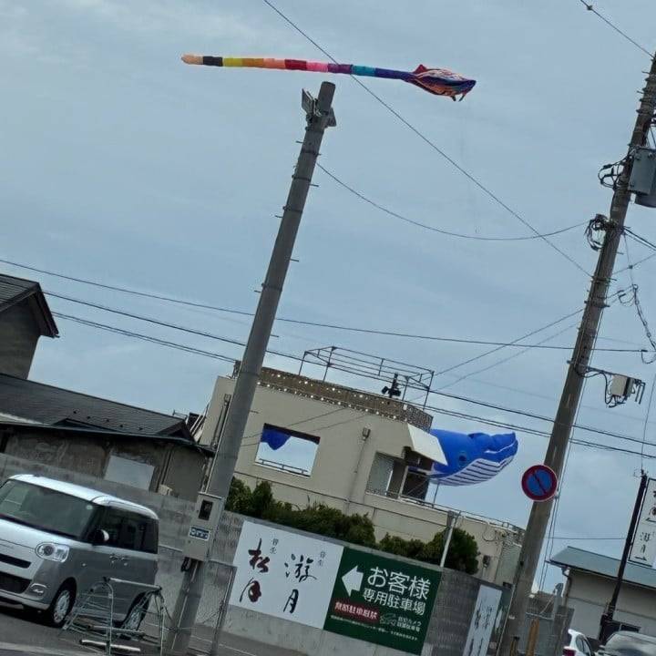 海で巨大な🐳
