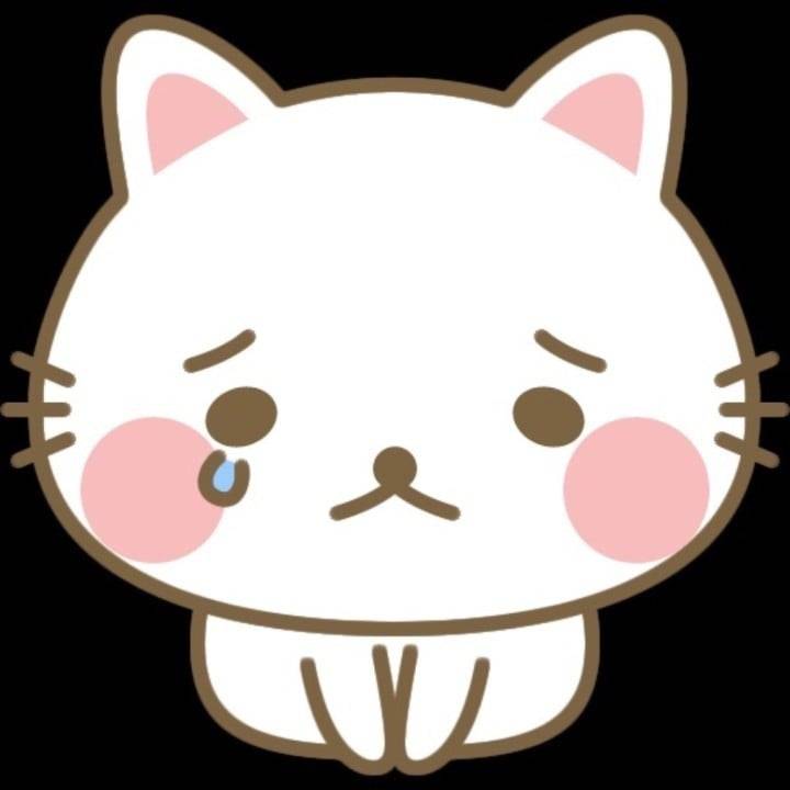 お知らせ⋆͛📢⋆