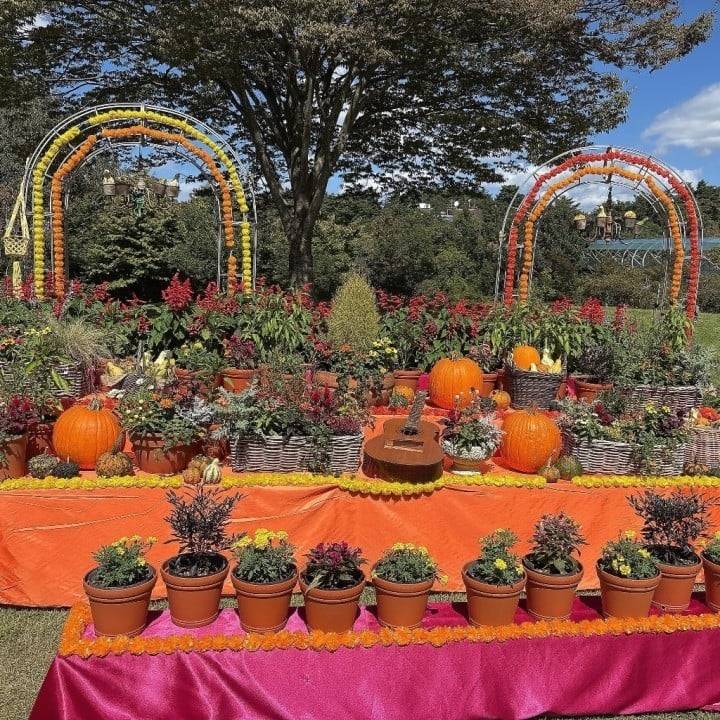 お花🎃🌸