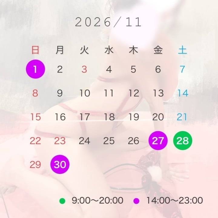 11月の予定