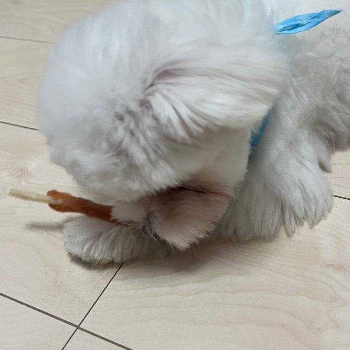 ごめんなさい……
