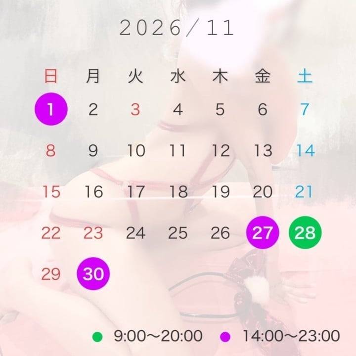 11月のよてい