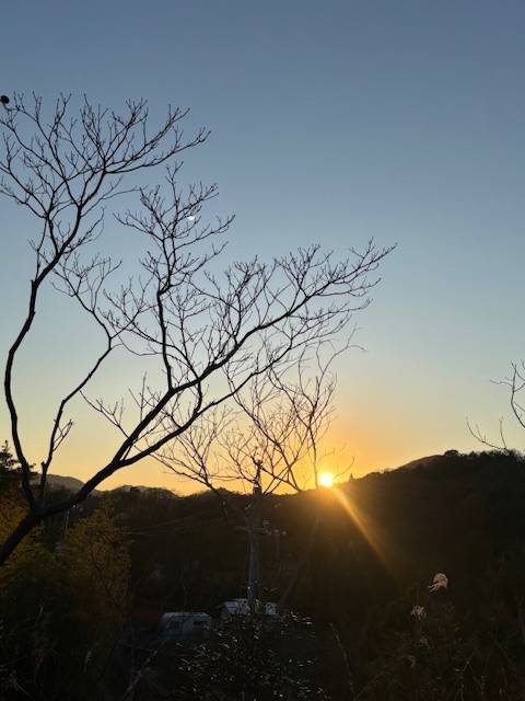 あけおめでぇーす