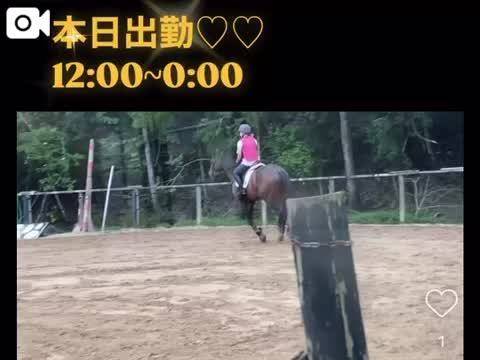 G1出走馬で爆走♡♡