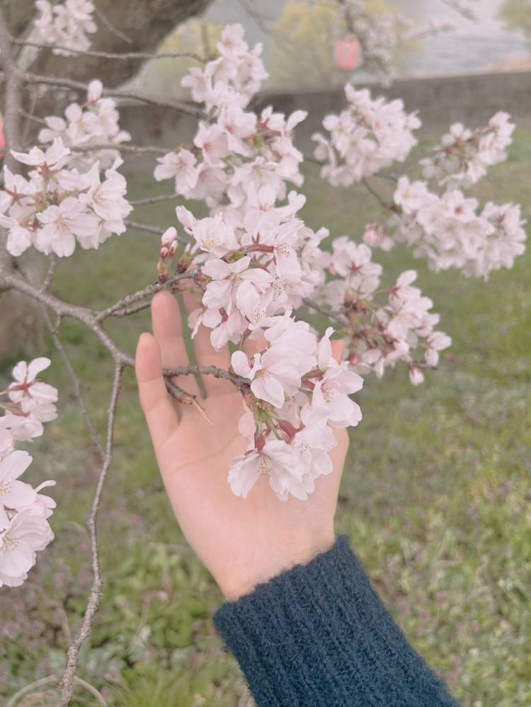 本日１４時より出勤です.*･｡