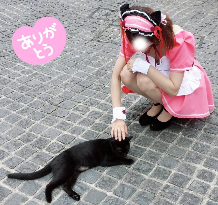 お礼です(^ω^)っ♪