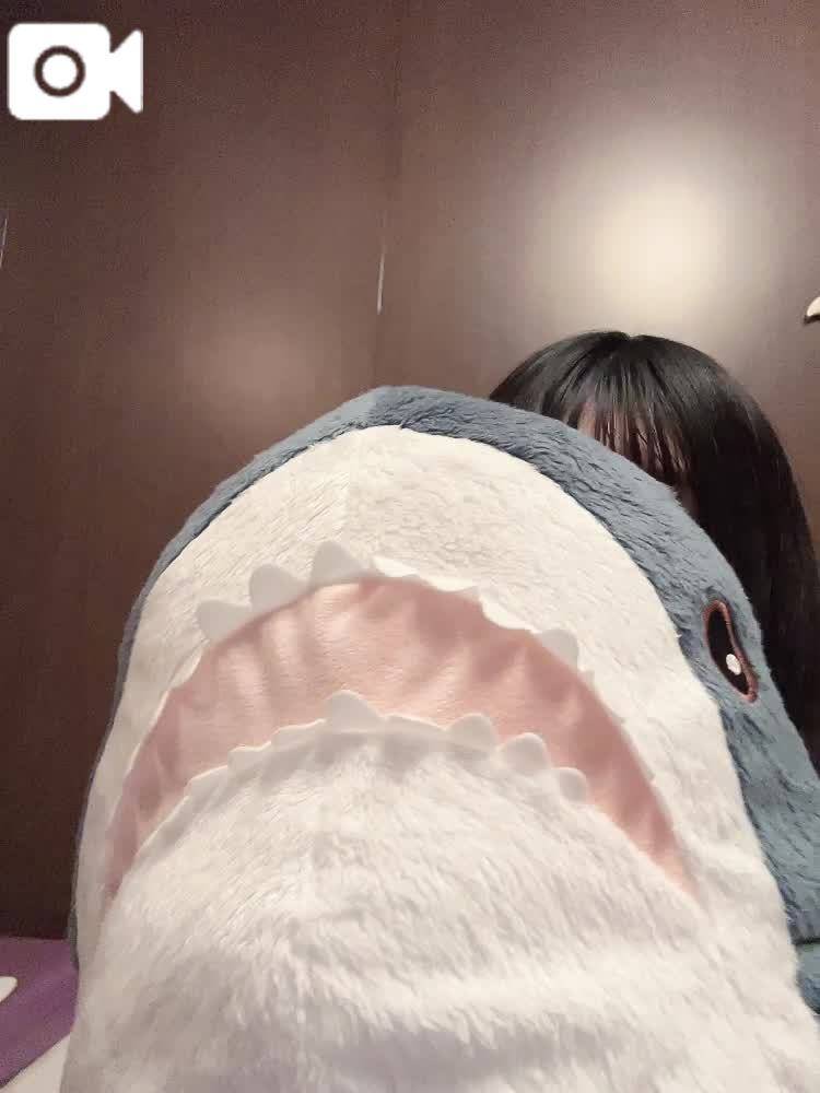 🦈靴、買った！🦈